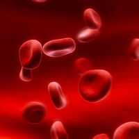 Kansere karşı bunları yiyin!