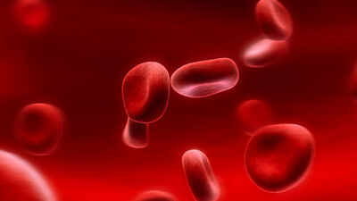 Kansere karşı bunları yiyin!