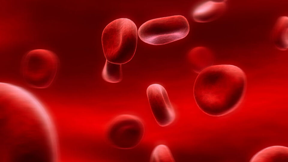 Kansere karşı bunları yiyin!