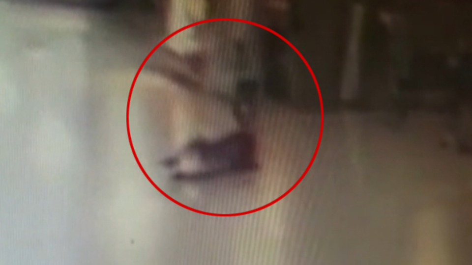 Yaralanan iki polisten haber var!