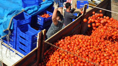 Türk sebze-meyvesi 2 haftada Rusya'da