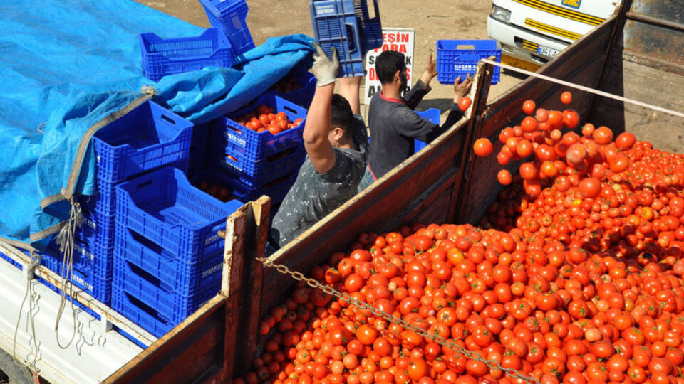Türk sebze-meyvesi 2 haftada Rusya'da