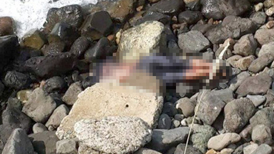 Kayalıklara vurdu! Parmakları kesilmiş, ayakları bağlanmış!