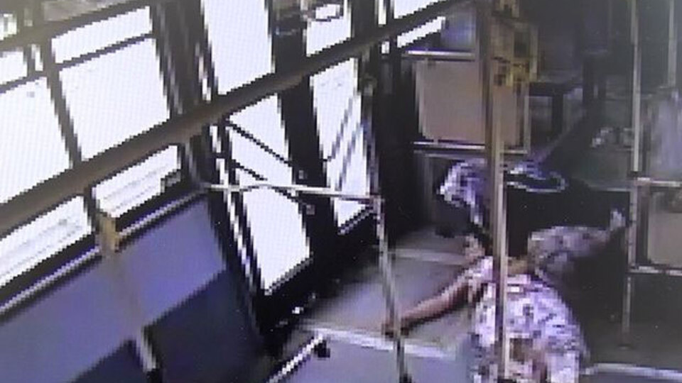 Eşek arılarının saldırısına uğradı!