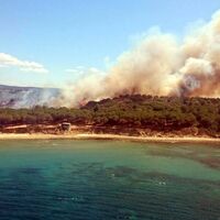Tarihi Gelibolu Yarımadası'nda yangın!