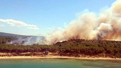 Bir Yedigöller yandı