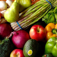 Vegan çiftin bebeğinin velayeti hastaneye verildi