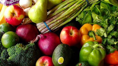 Vegan çiftin bebeğinin velayeti hastaneye verildi