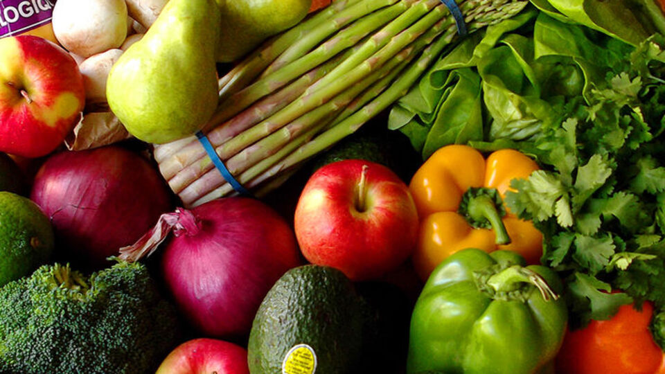 Vegan çiftin bebeğinin velayeti hastaneye verildi