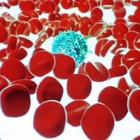 Türk bilim insanlarından kansere karşı ilaç çalışması!