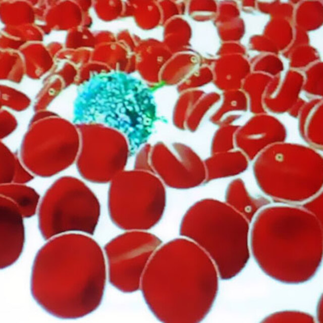 Türk bilim insanlarından kansere karşı ilaç çalışması!