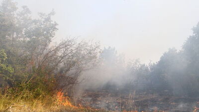 Kırklareli'nde 2 hektar orman kül oldu!