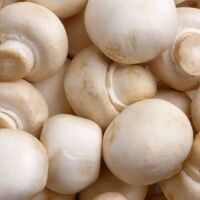 Vitamin zengini mantar kanserle savaşıyor