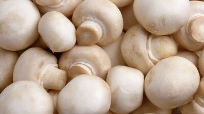 Vitamin zengini mantar kanserle savaşıyor