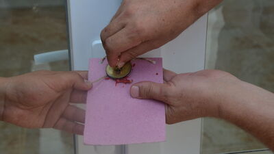 Cemaat yurtları Milli Eğitim tarafından kapatıldı