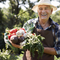 Sağlıklı yaşlanmayı sağlayan besinler!