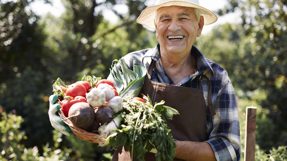 Sağlıklı yaşlanmayı sağlayan besinler!