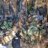 Marmaris'te ormanlık alanda 12 uzun namlulu silah bulundu