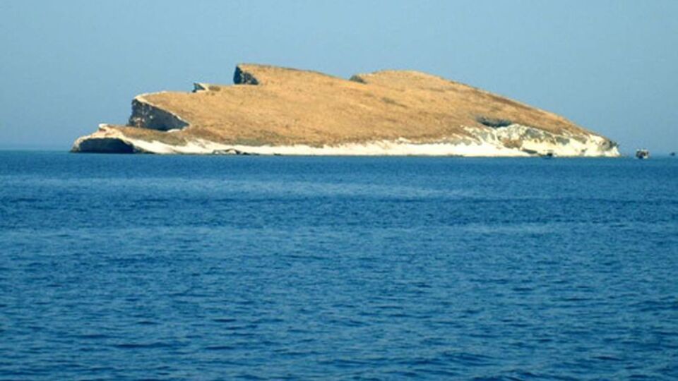 'Gülen için uygun ada buluruz, Öcalan ile komşu olması gönlümden geçiyor'