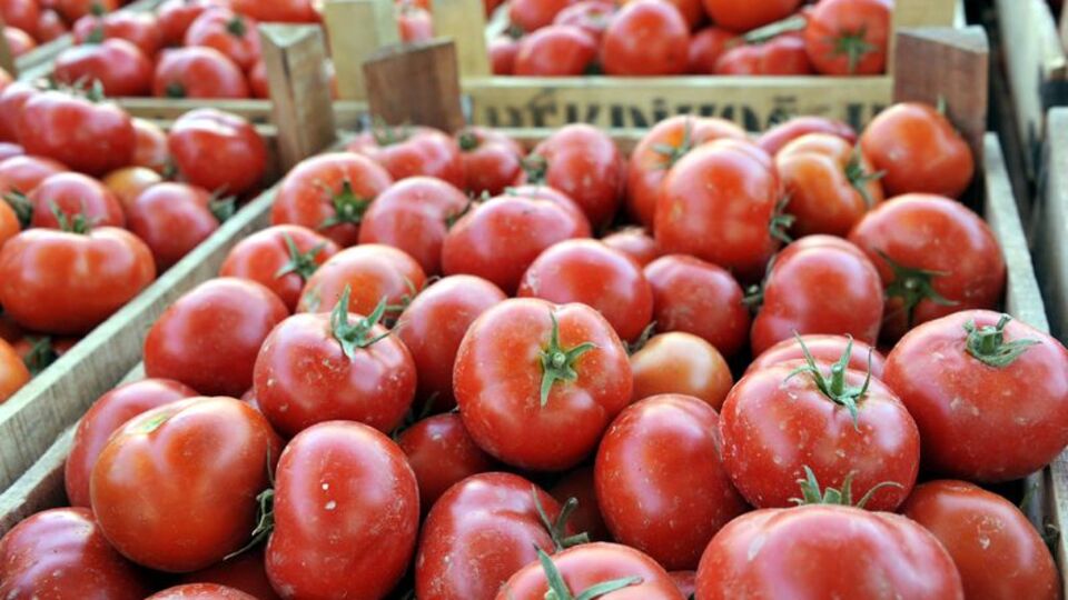 Rusya kararıyla yüzde 70'i satıldı!