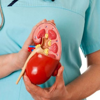 Dikkat! Aşırı sıcaklar kalbi tehdit ediyor