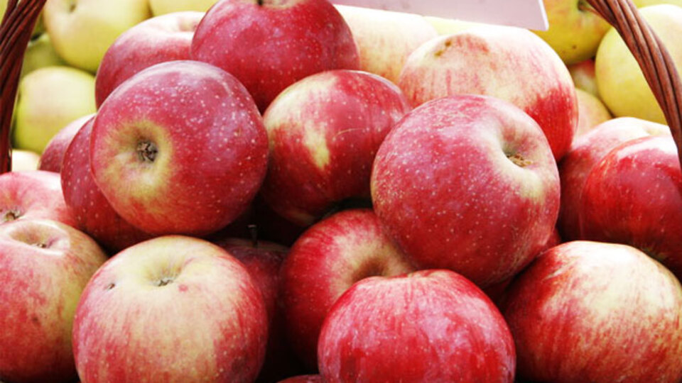 Elmayı kabuğuyla yerseniz...