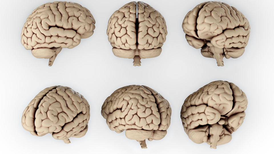 İnsan beynini taklit ediyor!