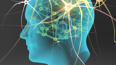 Sinir hücreleri kontrol edilerek hastalıklar iyileştirilecek!