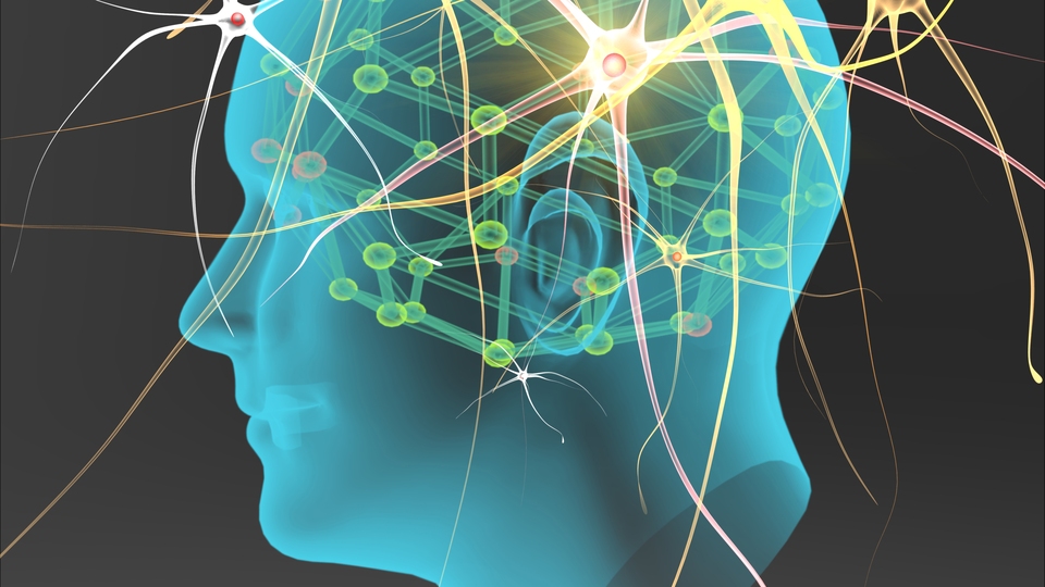 Sinir hücreleri kontrol edilerek hastalıklar iyileştirilecek!