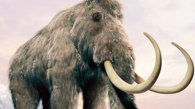 Son mamut susuzluktan öldü