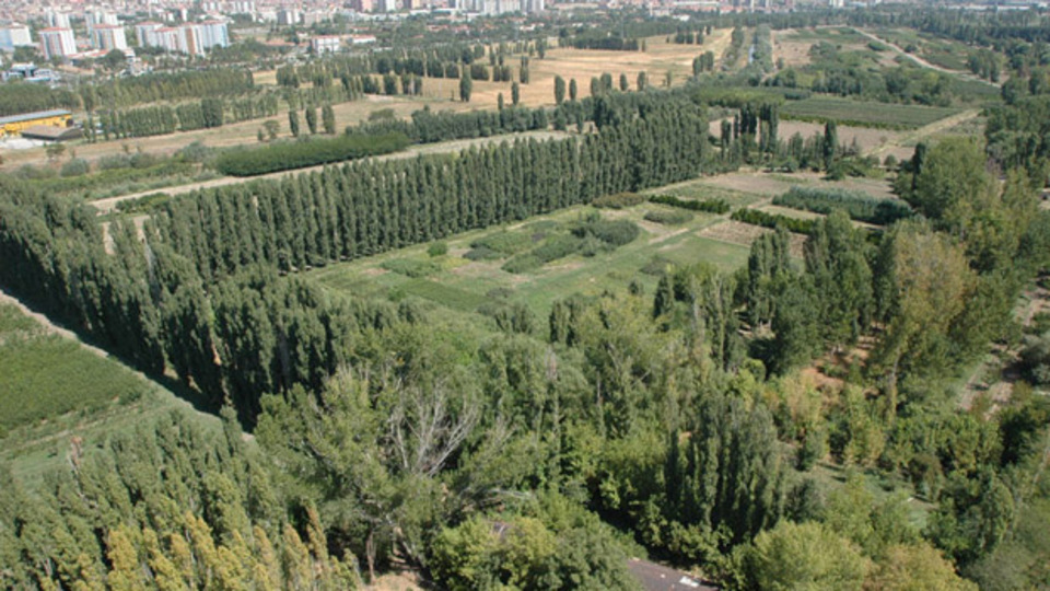 29 yıllığına Büyükşehir'in