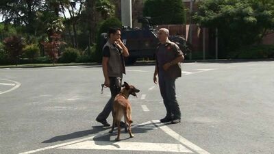 Erdoğan: Akıncı Üssü vurulunca girişim çöktü, 12 bomba attırdık