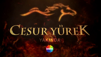 "Cesur Yürek" yakında Show TV'de!