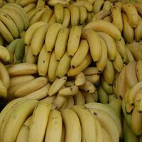 Bu muzlar daha sağlıklı!