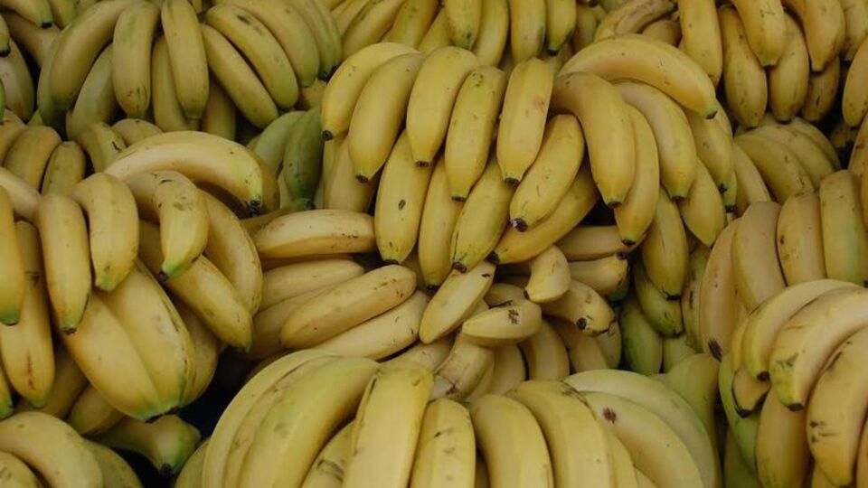 Bu muzlar daha sağlıklı!