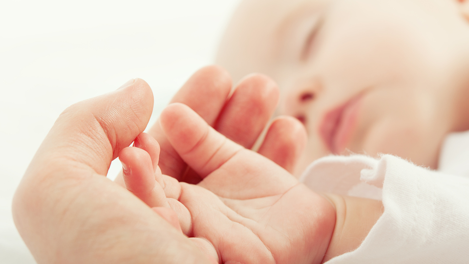 Anne karnını taklit ediyorlar!