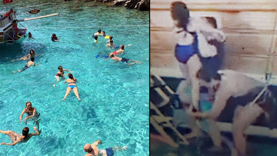 Bodrum'da caretta caretta dehşeti!