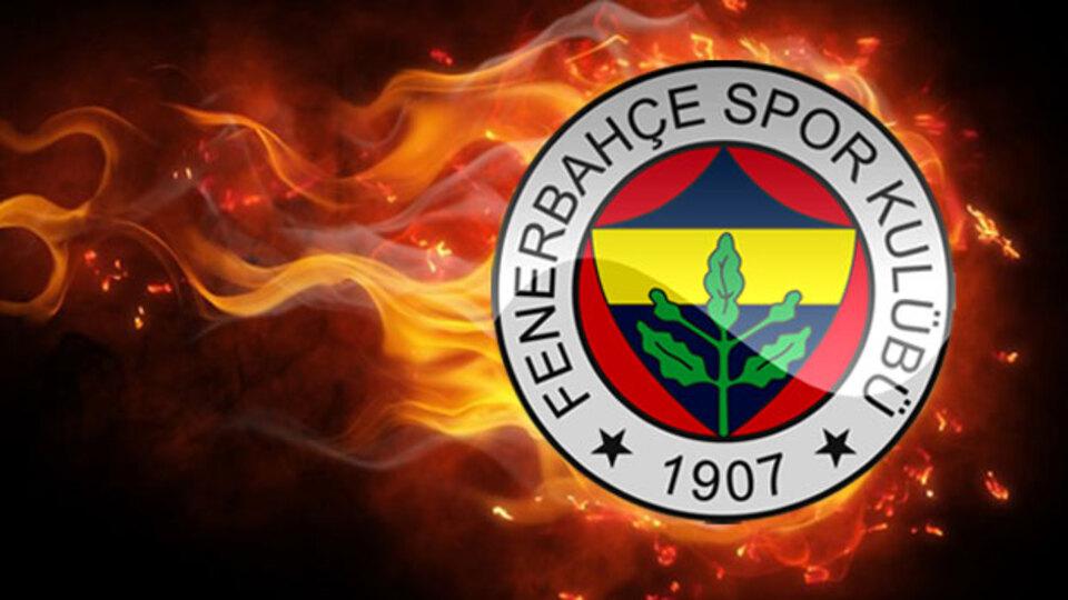 Fenerbahçe'ye bir Hollandalı daha!