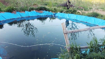 Henüz 14 yaşındaydı!