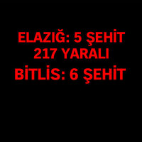 Elazığ ve Bitlis'te hain saldırılar!