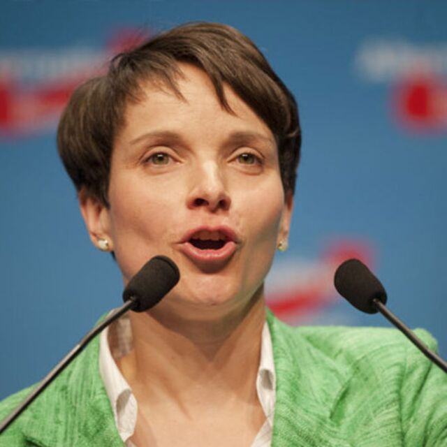 AfD'den bireysel silahlanma çıkışı