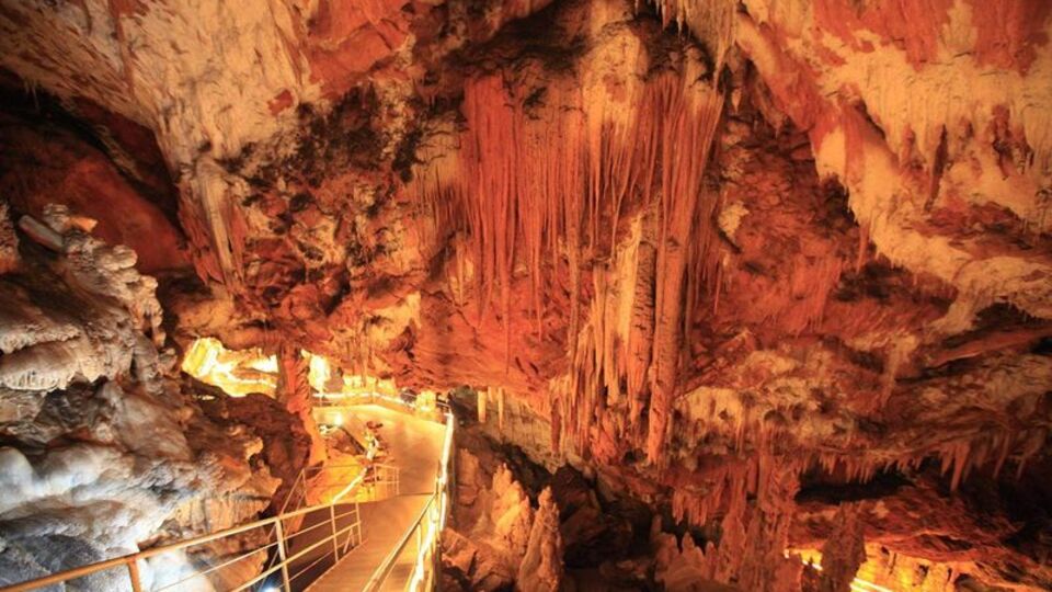 Araplar akın akın oraya gidiyor!