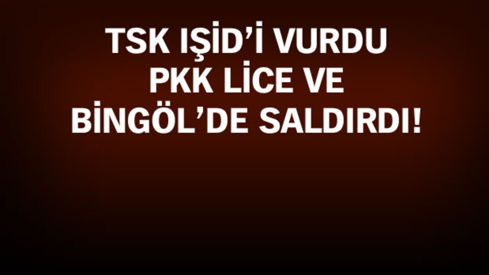 Terör ittifakı işbaşında!