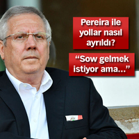 Advocaat kaç transfer istedi?