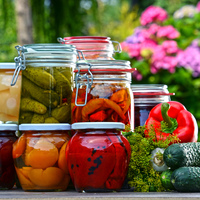 Mutfaklarda kış hazırlığı... Turşu, salça, tarhana ve kuru dolmalık nasıl yapılır?