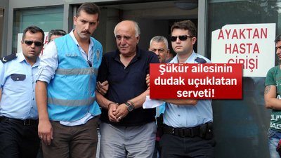 Hakan Şükür ve babasının 7 şirkette hisseleri çıktı