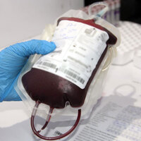 Tüm kanlarda Zika virüsü bakılacak!