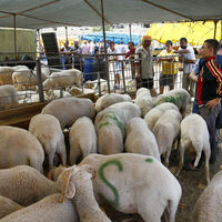 Kurban Bayramı ne zaman başlayacak?
