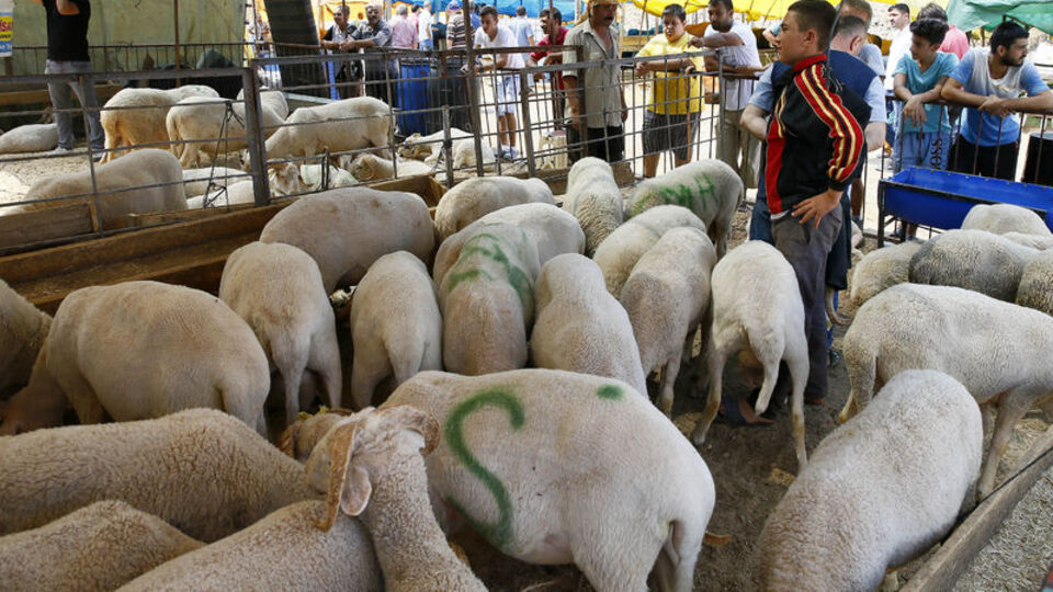 Kurban Bayramı ne zaman başlayacak?