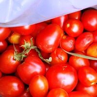 Domatesi çiğ değil böyle kullanın...